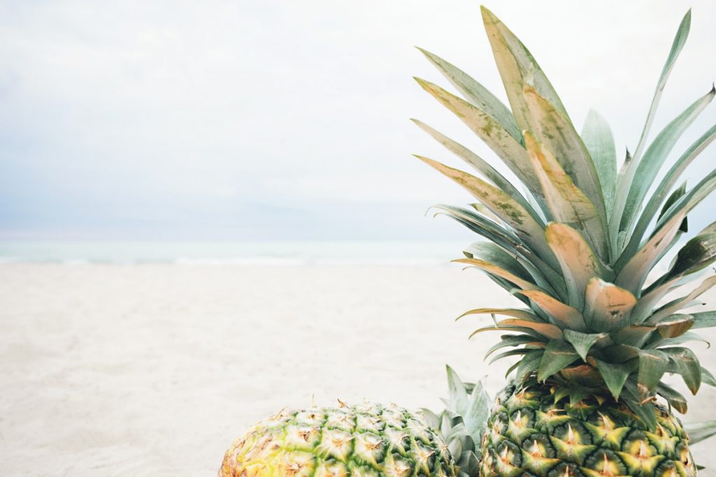 Tige d'ananas riche en bromelaïne